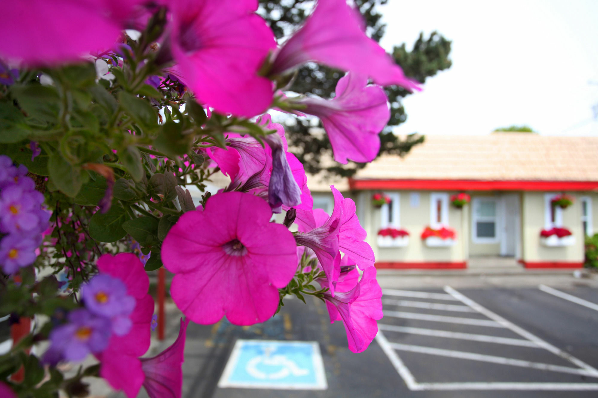 City Centre Motel By Oyo Seaside Luaran gambar